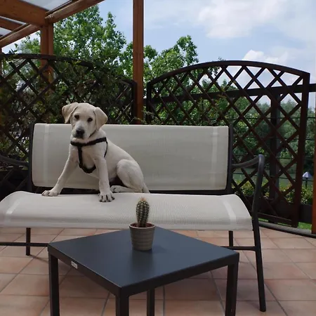 Quality La Darsena Moncalieri