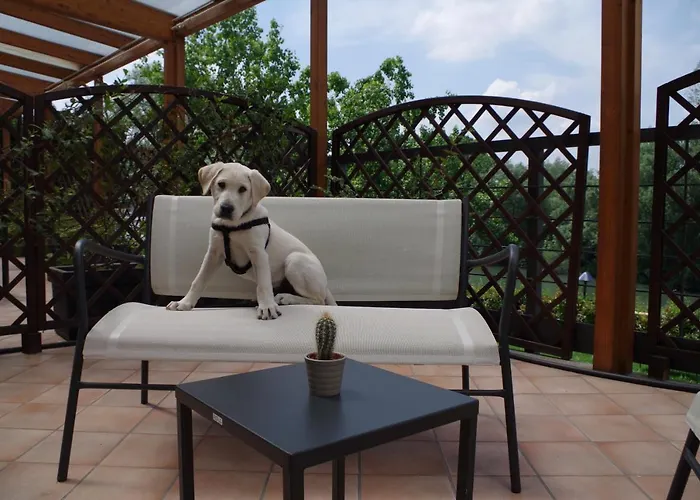 Quality La Darsena Moncalieri